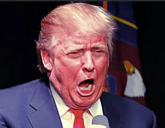 Screen Shot 2020-07-21 at 8.24.20 AM.webp