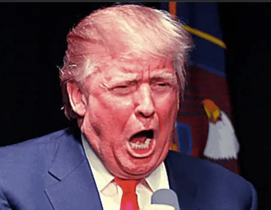 Screen Shot 2020-07-21 at 8.24.20 AM.png