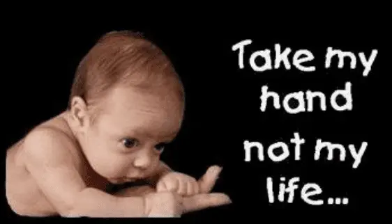 Screen Shot 2020-08-21 at 2.49.09 PM.webp