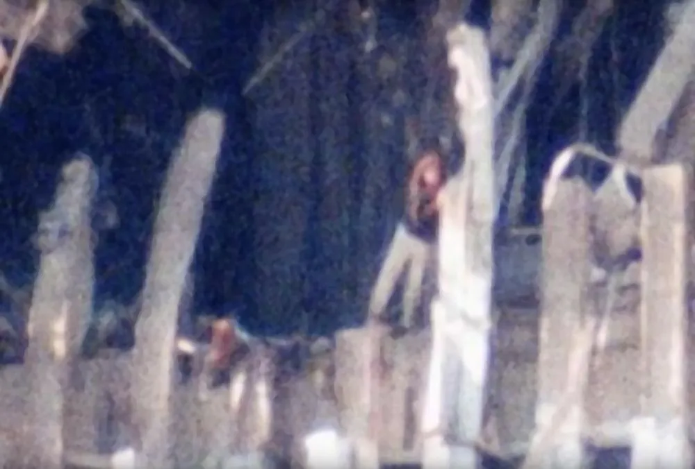 Screen Shot 2020-09-11 at 11.46.38 AM.jpg