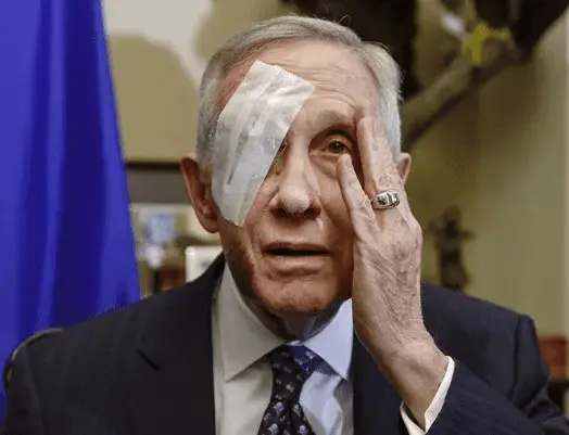 Screen Shot 2020-09-19 at 12.17.00 PM.webp