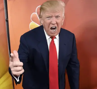 Screen Shot 2020-11-18 at 7.33.19 PM.webp