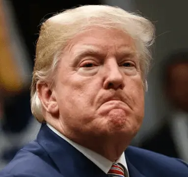 Screen Shot 2020-11-22 at 9.29.08 AM.webp