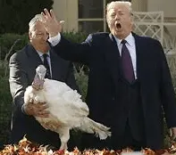 Screen Shot 2020-11-24 at 12.14.33 PM.png