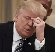 Screen Shot 2020-11-27 at 12.27.56 PM.png