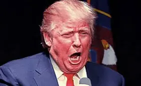 Screen Shot 2020-11-28 at 4.37.29 PM.webp