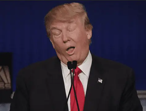 Screen Shot 2020-12-03 at 8.32.51 AM.webp