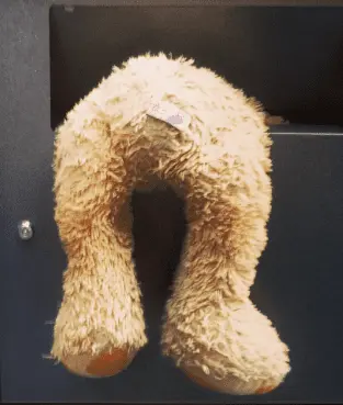 Screen Shot 2020-12-19 at 10.18.14 AM.webp