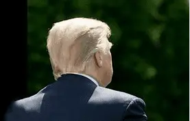 Screen Shot 2020-12-19 at 8.45.00 AM.webp