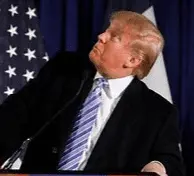 Screen Shot 2020-12-19 at 9.56.56 AM.webp