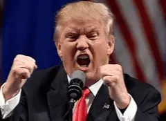 Screen Shot 2020-12-30 at 1.00.11 PM.webp