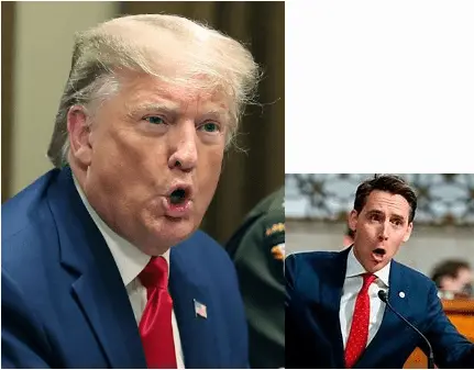 Screen Shot 2021-01-01 at 7.13.33 PM.webp