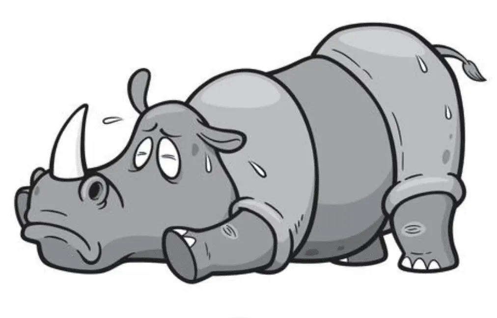 Screen Shot 2021-01-03 at 3.26.41 PM.webp