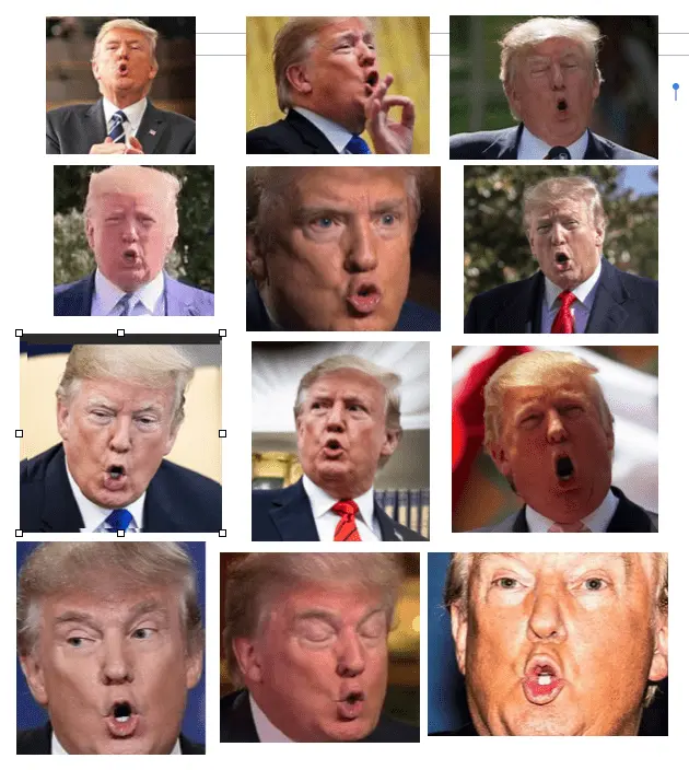 Screen Shot 2021-01-14 at 8.39.46 AM.png