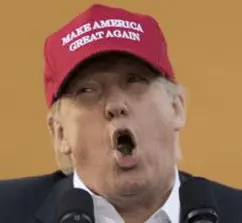 Screen Shot 2021-01-14 at 9.33.13 AM.webp