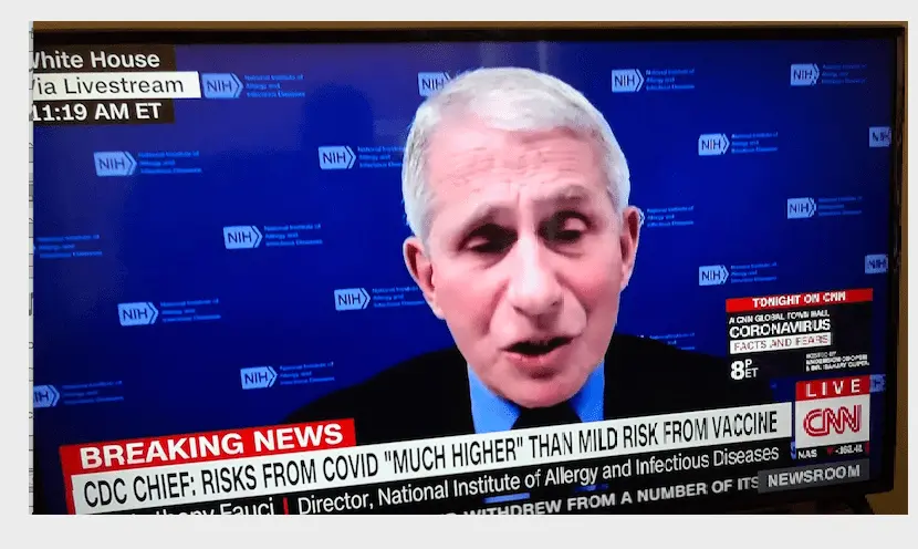 Screen Shot 2021-01-27 at 10.24.36 AM.webp