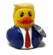 Screen Shot 2021-02-16 at 10.51.19 AM.webp