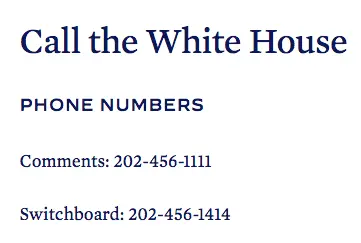 Screen Shot 2021-02-18 at 1.55.42 PM.webp