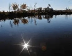 Screen Shot 2021-05-05 at 8.14.29 AM.webp