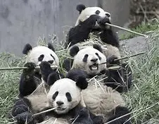 Screen Shot 2021-05-06 at 4.28.40 PM.png