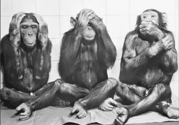 Screen Shot 2021-05-12 at 10.41.28 AM.png