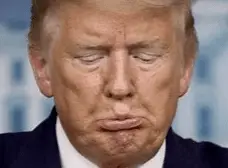 Screen Shot 2021-07-07 at 12.28.07 PM.png