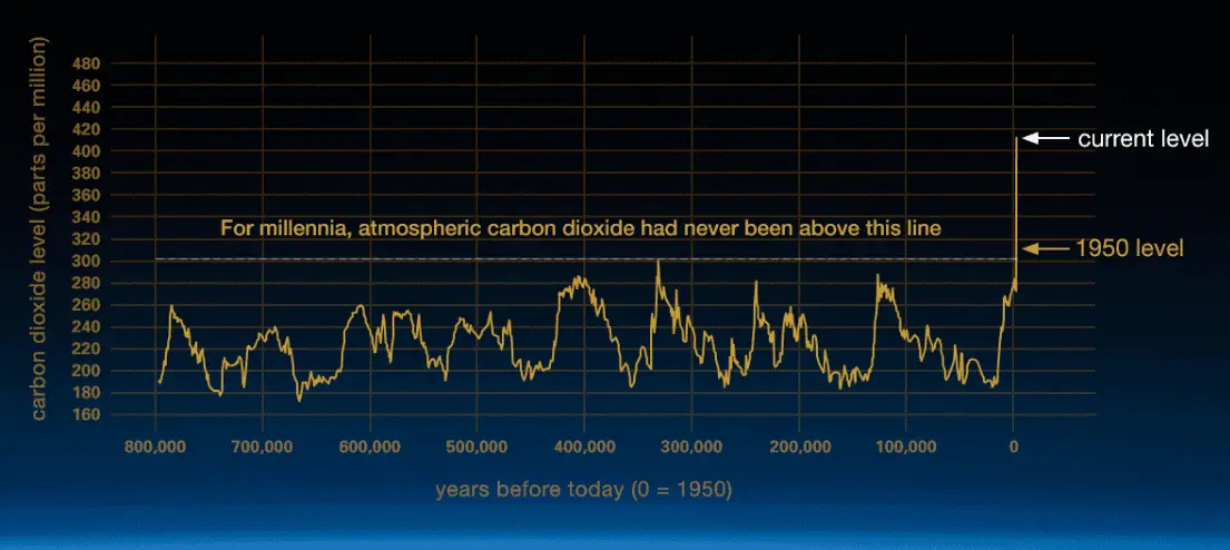 Screen Shot 2021-07-13 at 7.48.48 PM.png