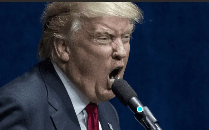 Screen Shot 2021-07-13 at 7.52.35 PM.png