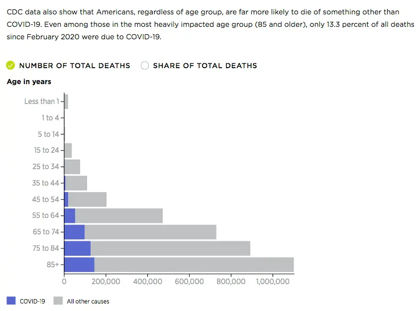 Screen Shot 2021-07-23 at 11.29.58 AM.webp