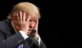 Screen Shot 2021-07-29 at 11.13.26 AM.png