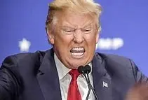 Screen Shot 2021-08-05 at 4.58.07 PM.webp