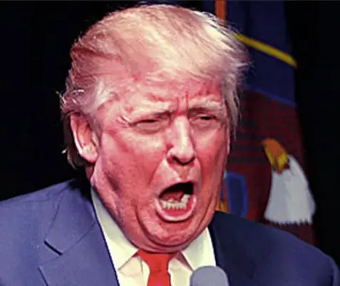 Screen Shot 2021-08-09 at 9.20.52 AM.webp