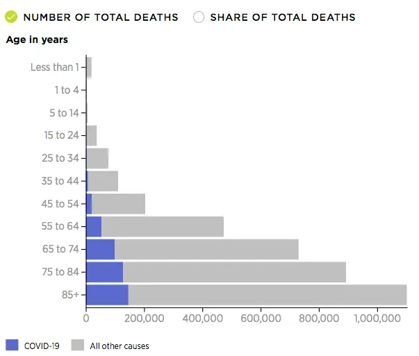Screen Shot 2021-08-11 at 2.40.17 AM.webp