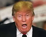 Screen Shot 2021-09-15 at 8.20.15 AM.png