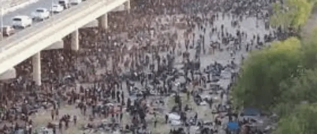 Screen Shot 2021-09-17 at 3.46.13 PM.webp