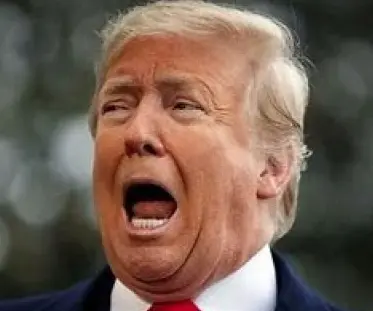 Screen Shot 2021-09-24 at 12.55.37 PM.webp