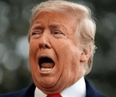 Screen Shot 2021-09-24 at 12.55.37 PM.webp