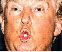 Screen Shot 2021-10-10 at 8.13.50 AM.webp