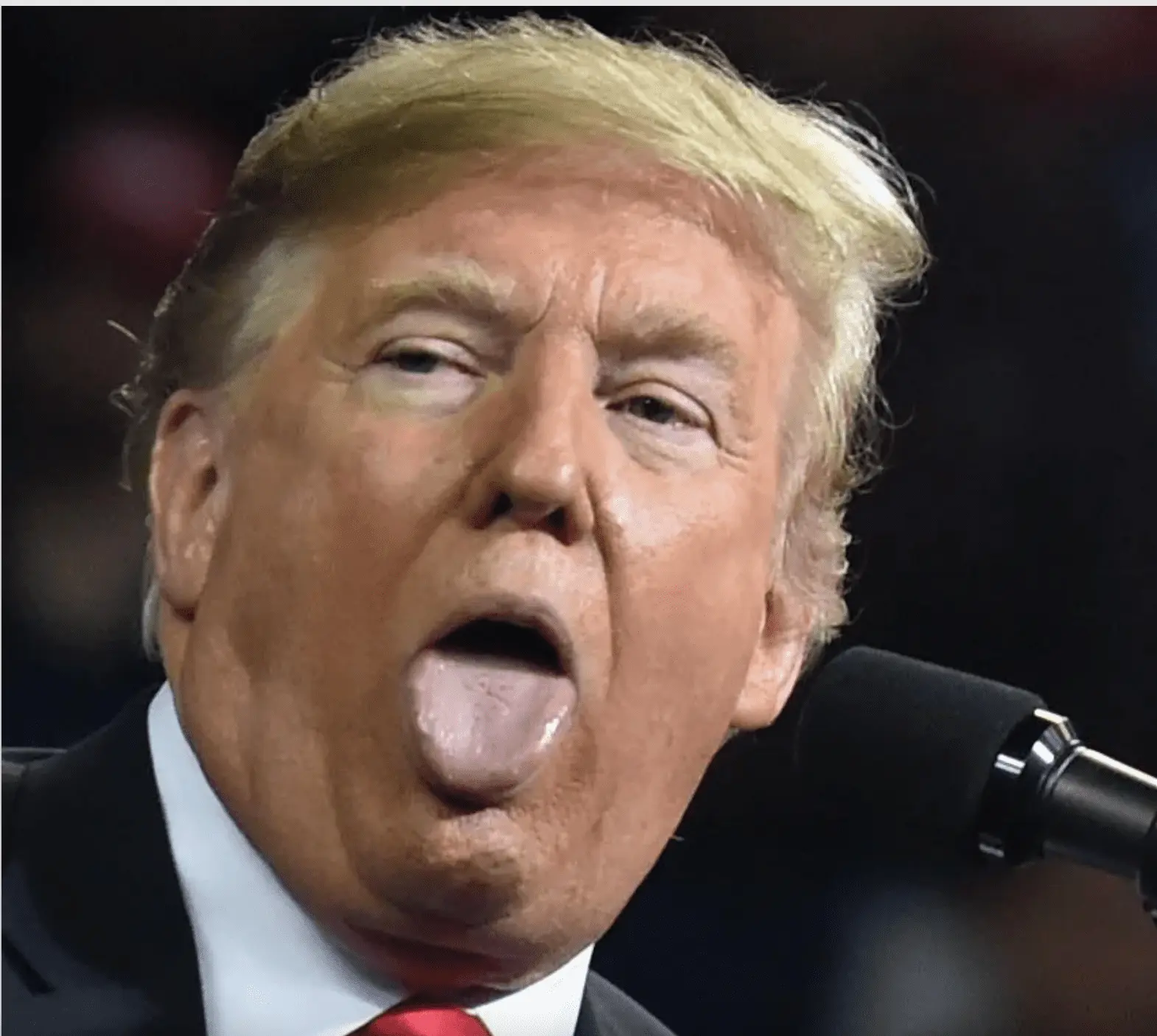 Screen Shot 2021-10-12 at 2.00.23 PM.png