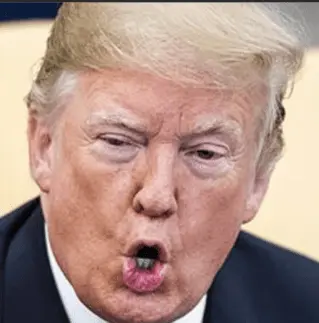 Screen Shot 2021-11-15 at 4.33.28 PM.png