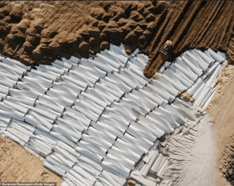 Screen Shot 2021-11-16 at 8.08.51 AM.webp