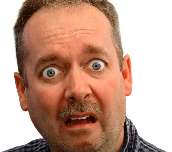 Screen Shot 2021-11-18 at 4.45.03 PM.webp