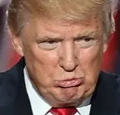 Screen Shot 2021-11-18 at 8.17.55 AM.webp