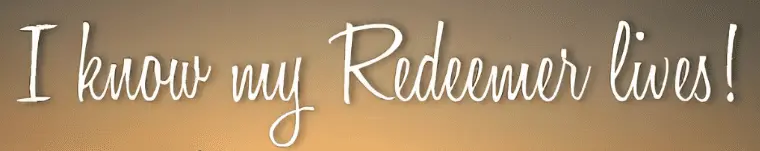 Screen Shot 2021-11-24 at 8.05.51 AM.png