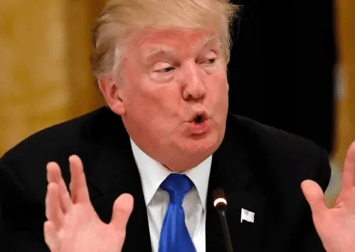 Screen Shot 2021-12-27 at 7.47.56 AM.webp