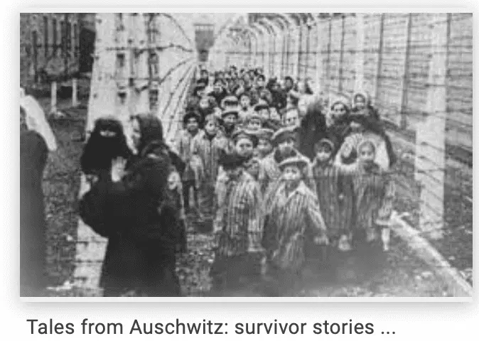 Screen Shot 2021-12-28 at 7.51.29 AM.webp