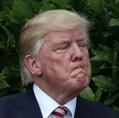 Screen Shot 2022-03-28 at 4.08.29 PM.png