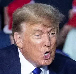 Screen Shot 2022-05-18 at 4.19.20 PM.webp