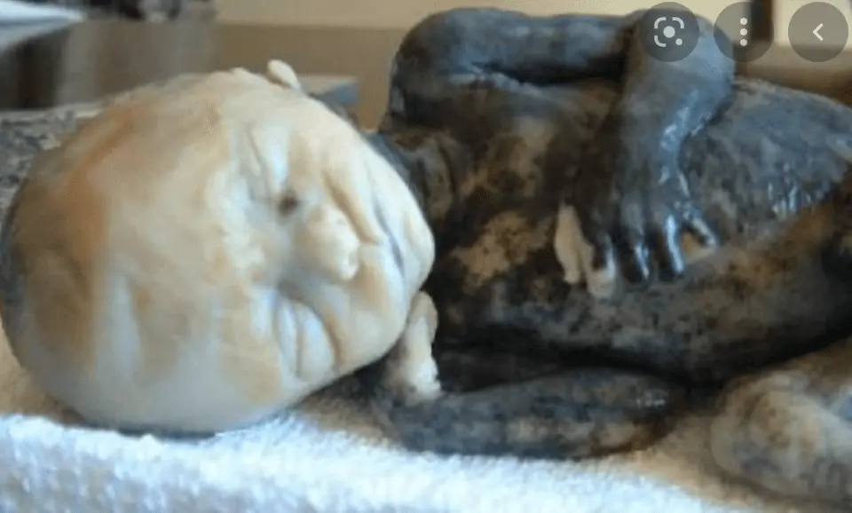 Screen Shot 2022-06-29 at 7.52.58 AM.webp