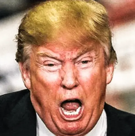 Screen Shot 2022-07-10 at 4.33.21 PM.png